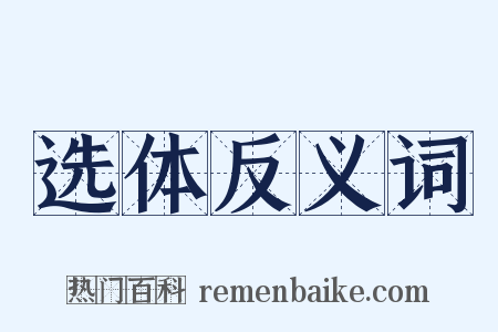 选体反义词是什么意思的图片